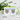 Aprés-Spritz Club Women - Tasse #farbe_gruen